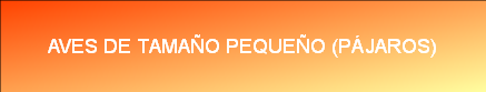 AVES DE TAMAÑO PEQUEÑO (PÁJAROS)