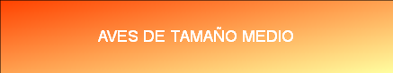 AVES DE TAMAÑO MEDIO