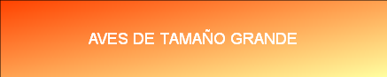AVES DE TAMAÑO GRANDE